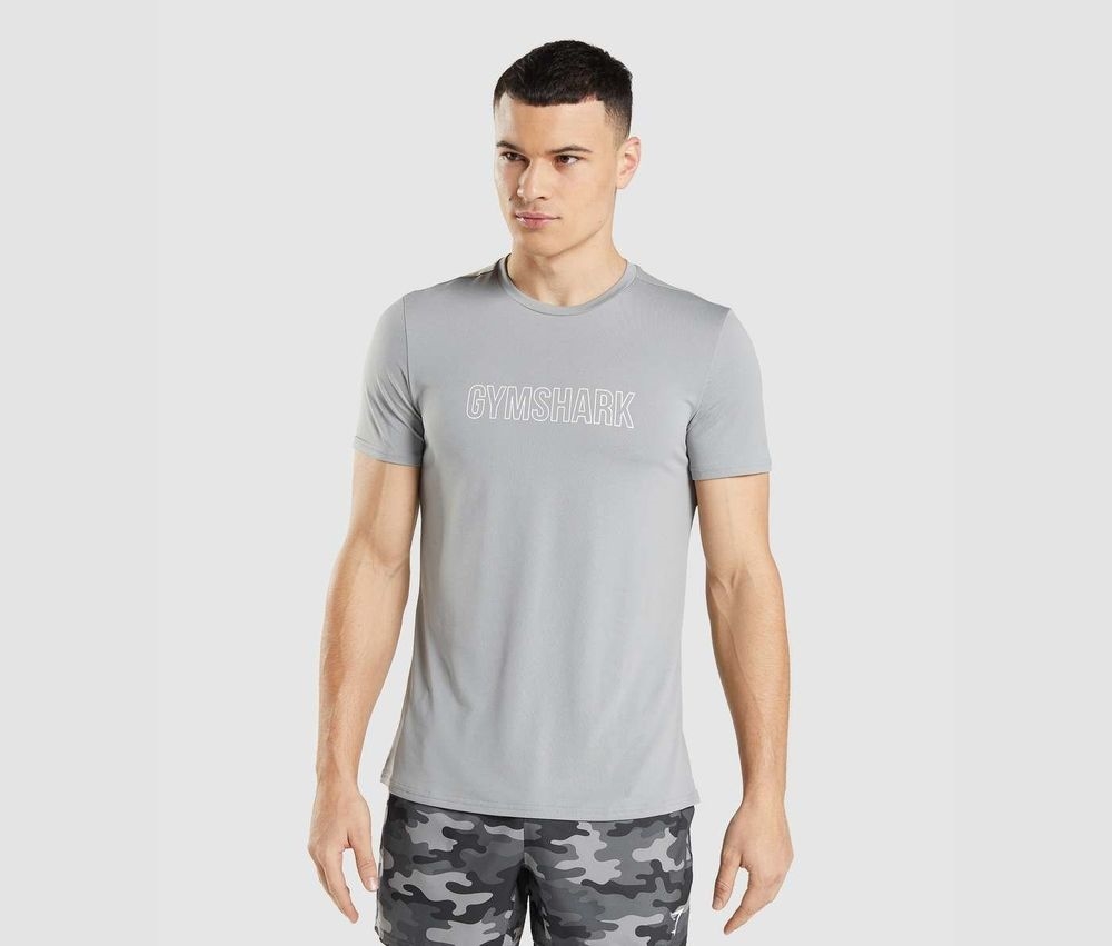 T-Shirt Gymshark Baratas - Arrival Estampados T-Shirt Hombre gris